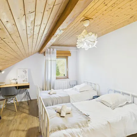 ⁂⁂ Le Pres Au Cerf Cledicihome 2 Steps From The Lispach // Private Toboggan Run! Snowshoe Departure ⁂⁂ La Bresse