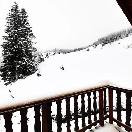 ⁂⁂ Le Pres Au Cerf Cledicihome 2 Steps From The Lispach // Private Toboggan Run! Snowshoe Departure ⁂⁂ Feriehus La Bresse