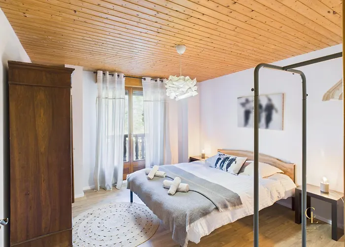 Prázdninový dům ⁂⁂ Le Pres Au Cerf Cledicihome 2 Steps From The Lispach // Private Toboggan Run! Snowshoe Departure ⁂⁂ La Bresse