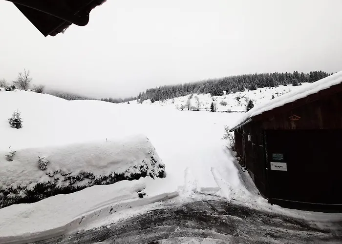 ⁂⁂ Le Pres Au Cerf Cledicihome 2 Steps From The Lispach // Private Toboggan Run! Snowshoe Departure ⁂⁂ *