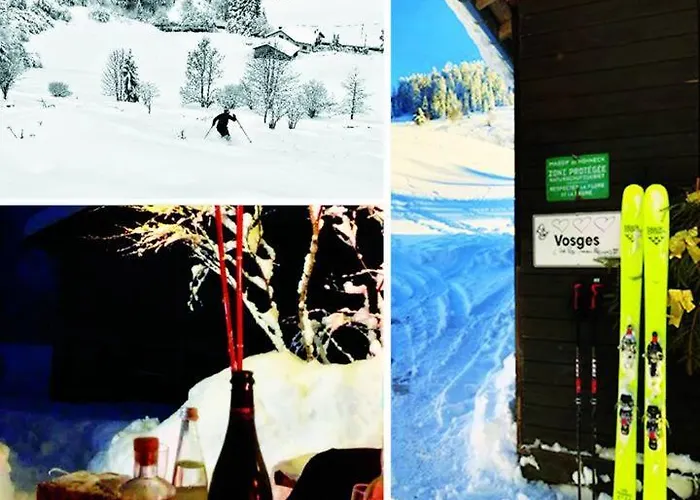 ⁂⁂ Le Pres Au Cerf Cledicihome 2 Steps From The Lispach // Private Toboggan Run! Snowshoe Departure ⁂⁂ La Bresse