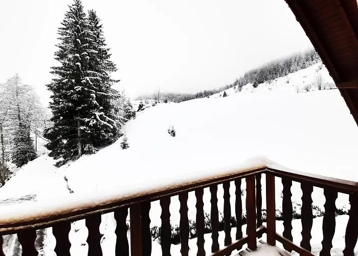 ⁂⁂ Le Pres Au Cerf Cledicihome 2 Steps From The Lispach // Private Toboggan Run! Snowshoe Departure ⁂⁂ Prázdninový dům La Bresse